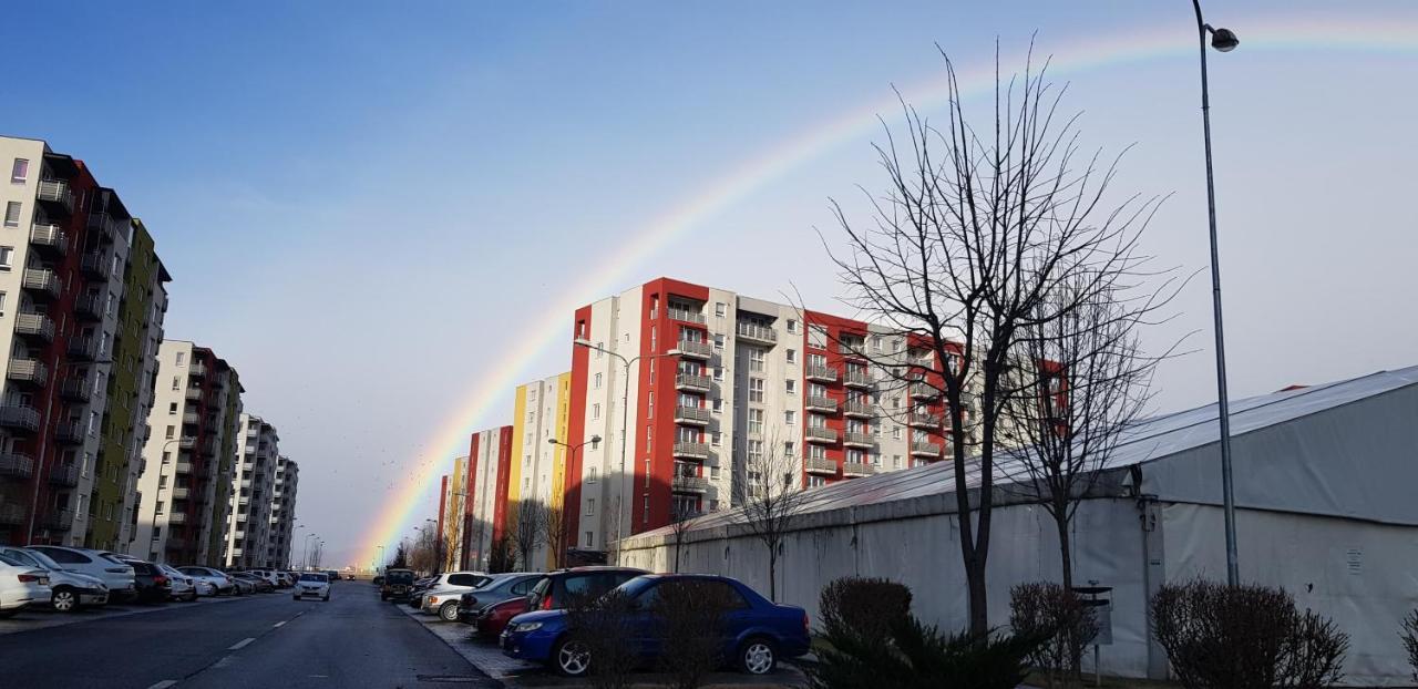 Ferienwohnung T&M Brașov Exterior foto